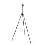 3-Legged-Thing-Punks-Billy-2.0-cu-Airhed-Neo-2.0-Black--4-