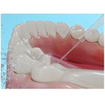 CecotecBambaIrigatorBucalToothCare1200JetPro