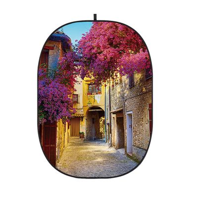 Godox CBA-CS0001 Fundal Pliabil Street