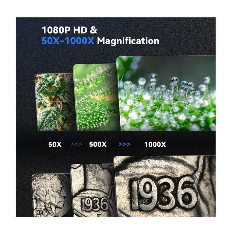 GW45.0050.3
