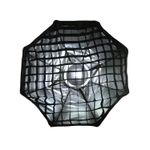 CarubaGridpentruBeautydish60cm