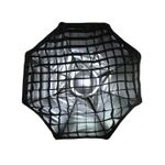 Caruba-Grid-pentru-Beautydish-60cm