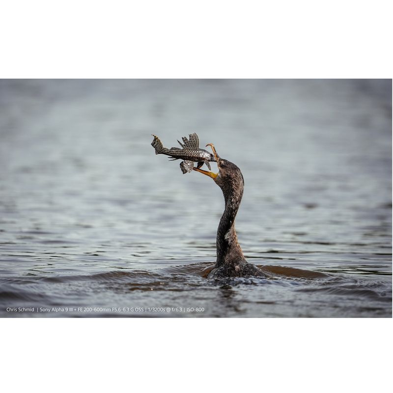 5.-Alpha-9-III-Camera-Sample-Image-Chris-Shmid