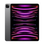 AppleiPadProgen6Tableta129WiFi1TBSpaceGrey