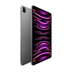 AppleiPadProgen6Tableta129WiFi1TBSpaceGrey