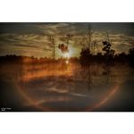 LensbabyCOMNIDeluxeCollectionLargeSmall