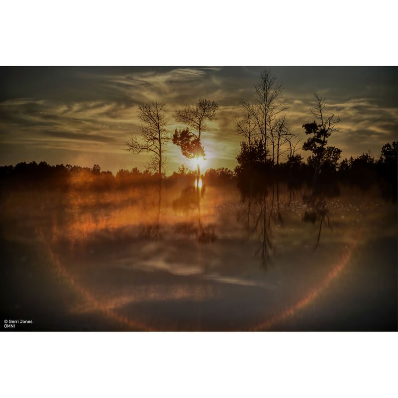 LensbabyCOMNIDeluxeCollectionLargeSmall