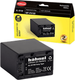 Batery-NP-FV100