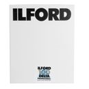 Ilford  100 Delta Film Negativ Alb Negru 9x12cm 25 foi