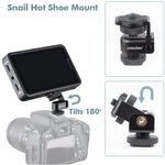 DesviewR5II55OnCameraTouchMonitor