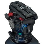 Sachtleraktiv10CapTrepied