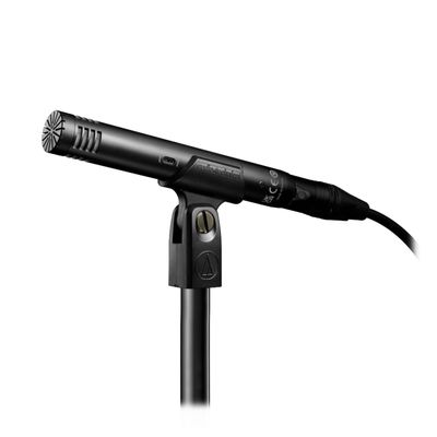 Audio-Technica AT2031 Microfon Cardioid Condenser XLR