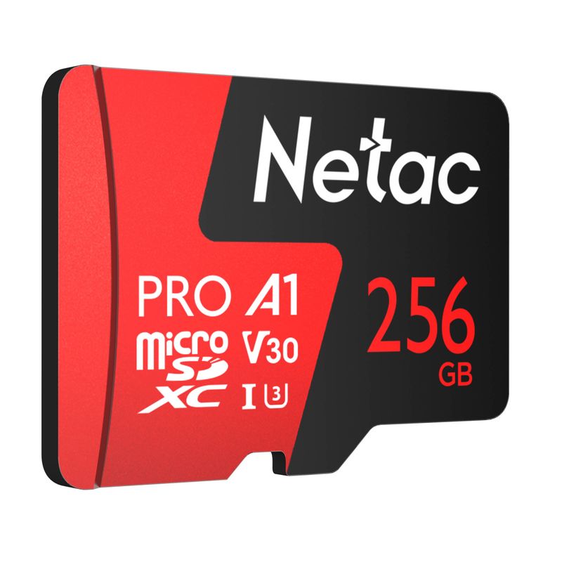 NT02P500PRO-256G-R