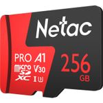 NT02P500PRO256GR