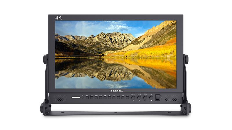 SEETEC 17.3