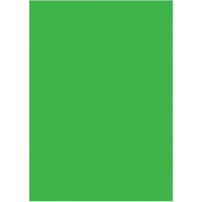 Fancier WOB5001 fundal panza 3x6m - Verde solid