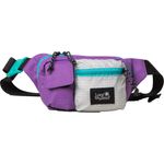 LongWeekendMontereyGeantaSlingCosmicPurple
