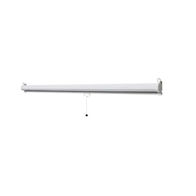 Celexon Basic Motor Ecran de Proiectie Manual 200 x 200 cm