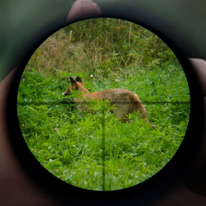 FocusSportOpticsFocusInSight1710x42430mmLunetaArma