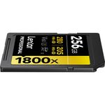LexarCarddeMemorieSDXCProfessionalUHSIIBL1800x256GBV60Gold