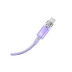 Baseus-Explorer-Series-Cablu-USB-la-USB-C-100W-2m-Mov.2