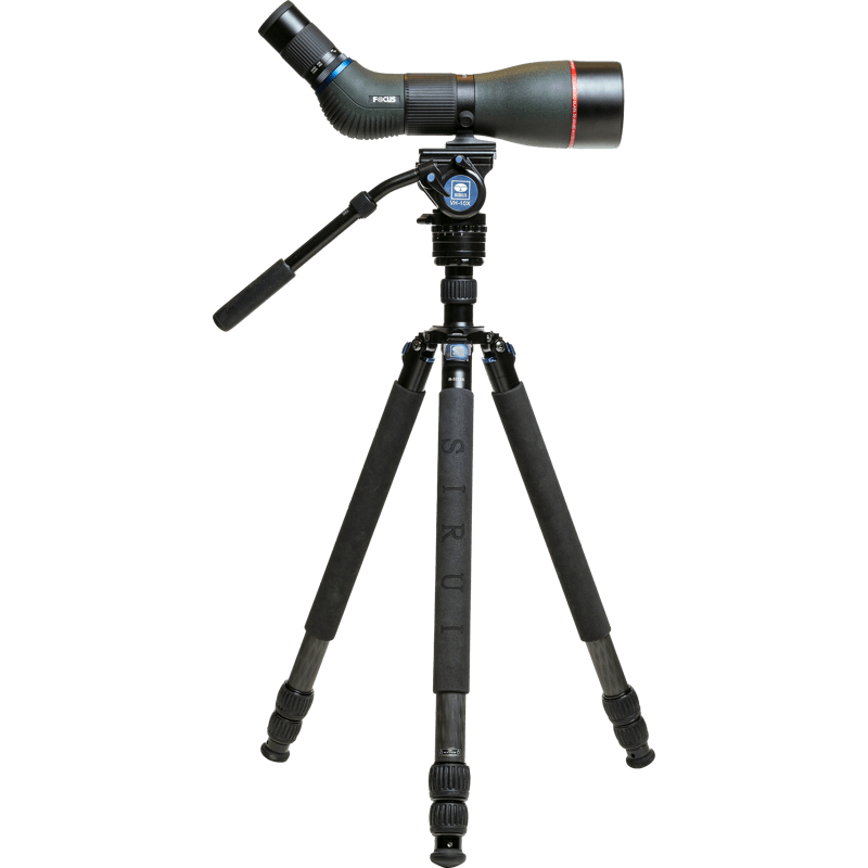 800q-01_119008