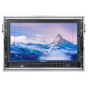 SEETEC P238-9HSD Monitor Broadcast 23.8''