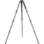 SiruiAR3204TrepiedCarbon