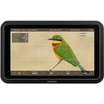 Atomos-Shinobi-II-Monitor-5---1500nits-HDR-HDMI-USB-C.4