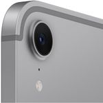 AppleiPadmini72024256GBCellularSpaceGrey