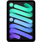AppleiPadmini72024128GBWiFiSpaceGrey