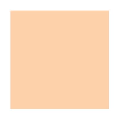 Rosco R205 1/2 CTO Rola Filtru Gel C.T. Orange