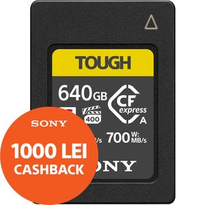 Sony Card de Memorie CFexpress Type A 640GB