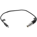 Tilta Cablu Control USB-C La 4+2 Pin pentru DJI Video 36 cm