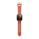 bip6-red--4-.jpg