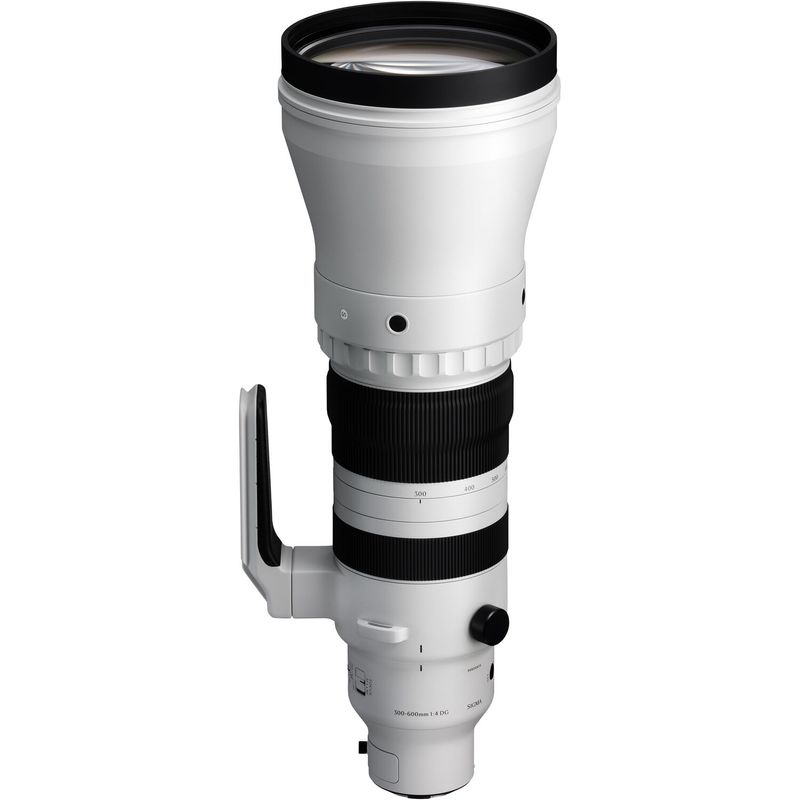Sigma-300-600mm-f4-DG-OS-Sports-Sony-E-2.jpg