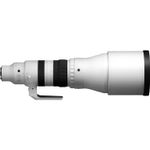 Sigma-300-600mm-f4-DG-OS-Sports-Sony-E-7.jpg