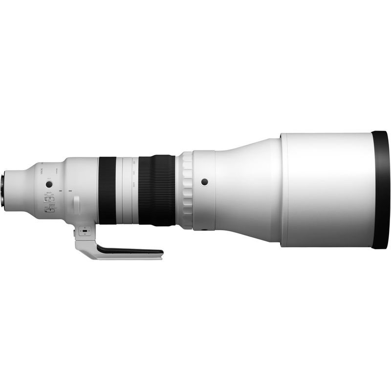 Sigma-300-600mm-f4-DG-OS-Sports-Sony-E-7.jpg