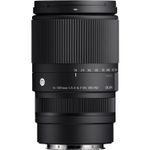 Sigma 16-300mm-2.jpg
