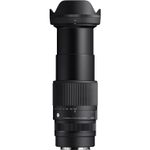 Sigma 16-300mm-5.jpg