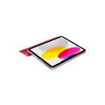 smartfolio wathermelon-3.jpg
