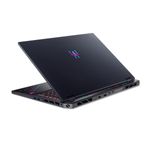 acer.3.jpg