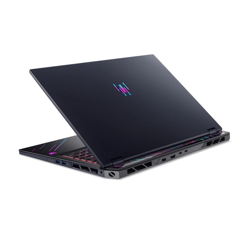 acer.3.jpg