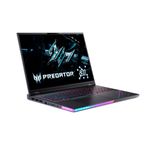 acer.2.jpg