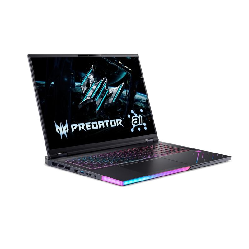 acer.2.jpg