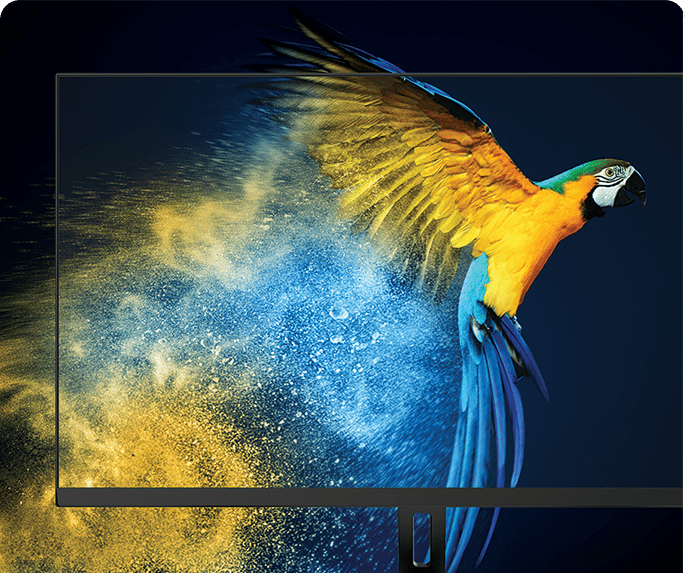 A colorful parrot with yellow, blue, and green feathers is shown in profile, with its body dissolving into a cloud of blue and yellow particles against a dark blue background.